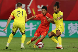 杨文吉的 杨文吉的